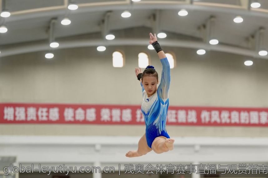 残奥会体育赛事直播与观赏指南