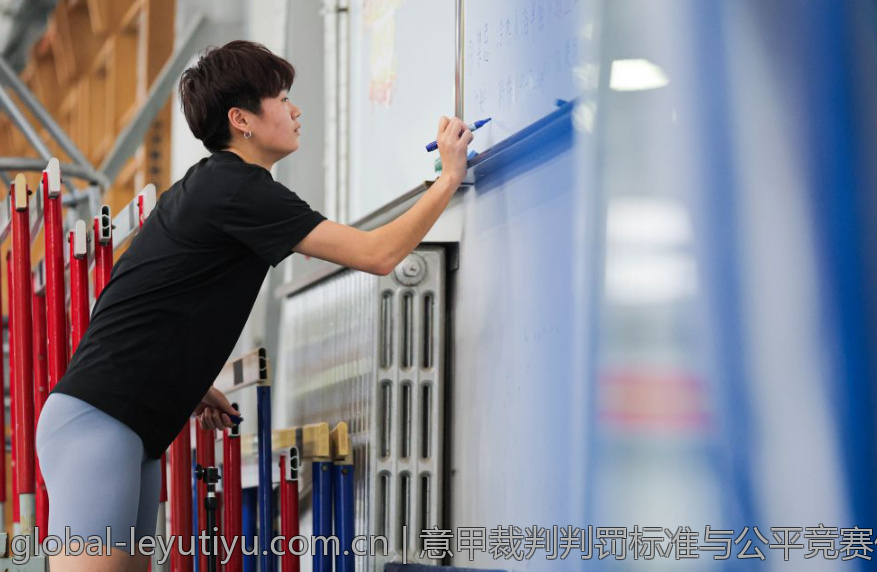 意甲裁判判罚标准与公平竞赛倡导
