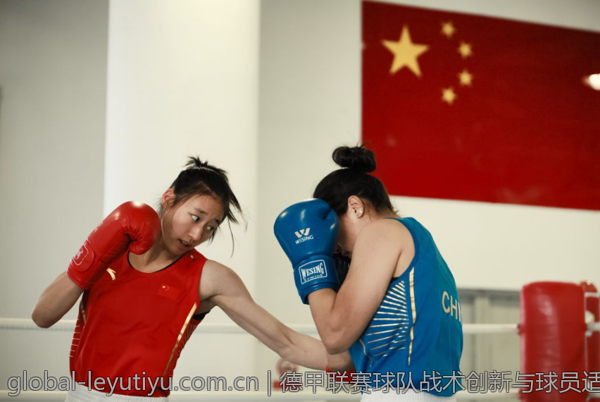 德甲联赛球队战术创新与球员适应性